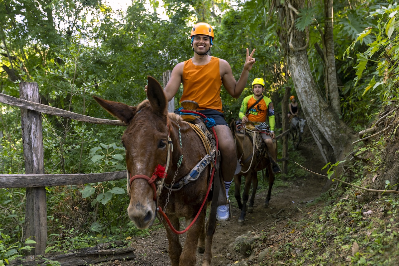 mules puerto vallarta